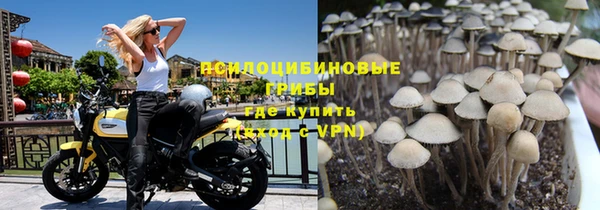 альфа пвп Россошь
