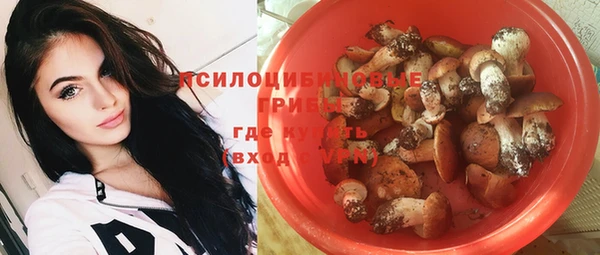 круглые Алексеевка