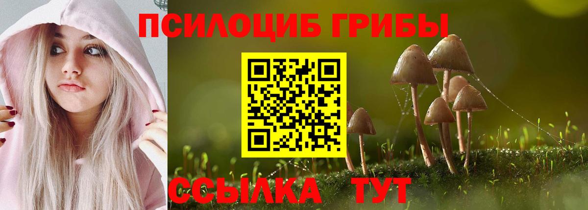 Псилоцибиновые грибы Psilocybe  Вход с VPN  Елизово  Псилоцибиновые грибы Magic Shrooms 