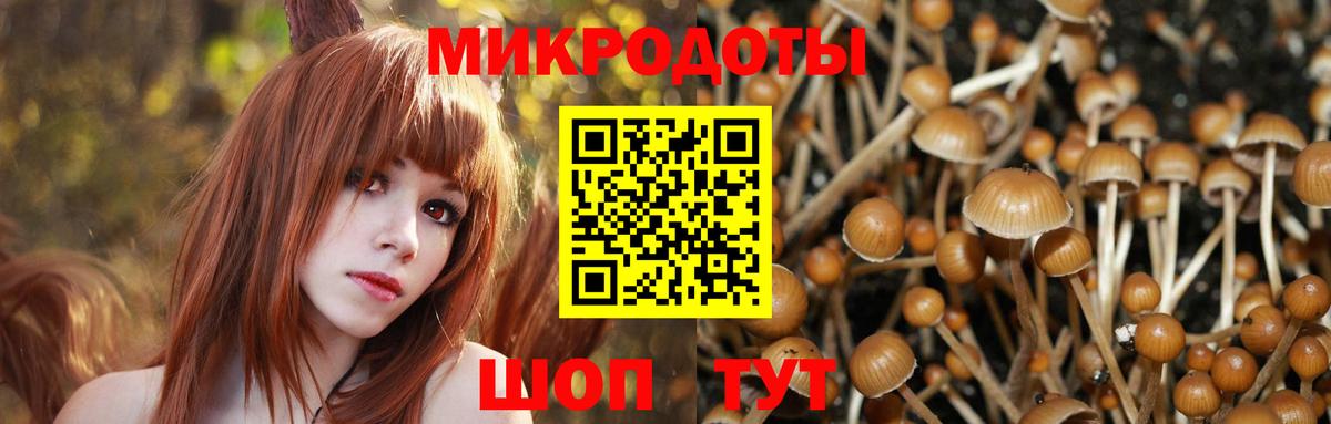 Галлюциногенные грибы GOLDEN TEACHER Елизово